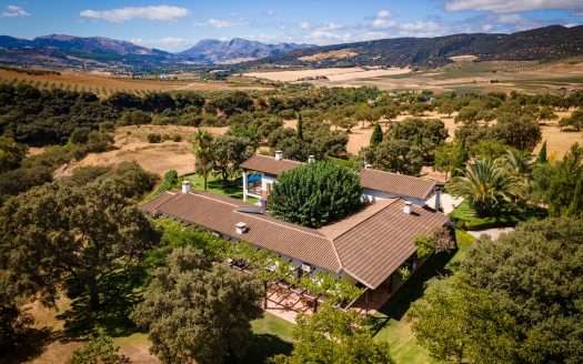 precio-fincas-rusticas-Madrid-Toledo-terrenos-parcelas-madrid-toledo-expertos-en-ventas-de-cortijos-madrid