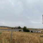 9750513-3.jpg