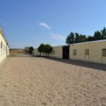 9753401-3.jpg