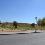 21648225-4.jpg
