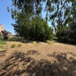 20937101.jpg