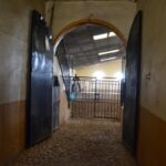 9751193-7.jpg