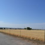 9751927-7.jpg