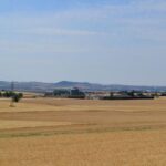 9754841-3.jpg