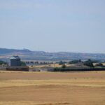 9754947-7.jpg