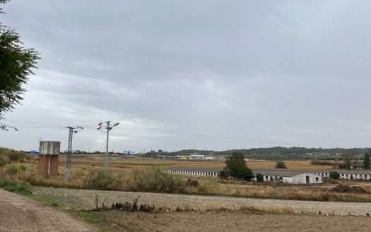 alquiler Finca Rústica en Madrid Torrejón de Velasco referencia 2327